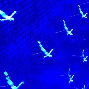 Meet your Posher, Jenny